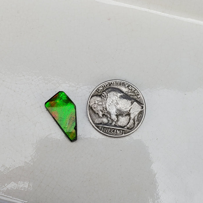 Ammolite Cabochon, 2