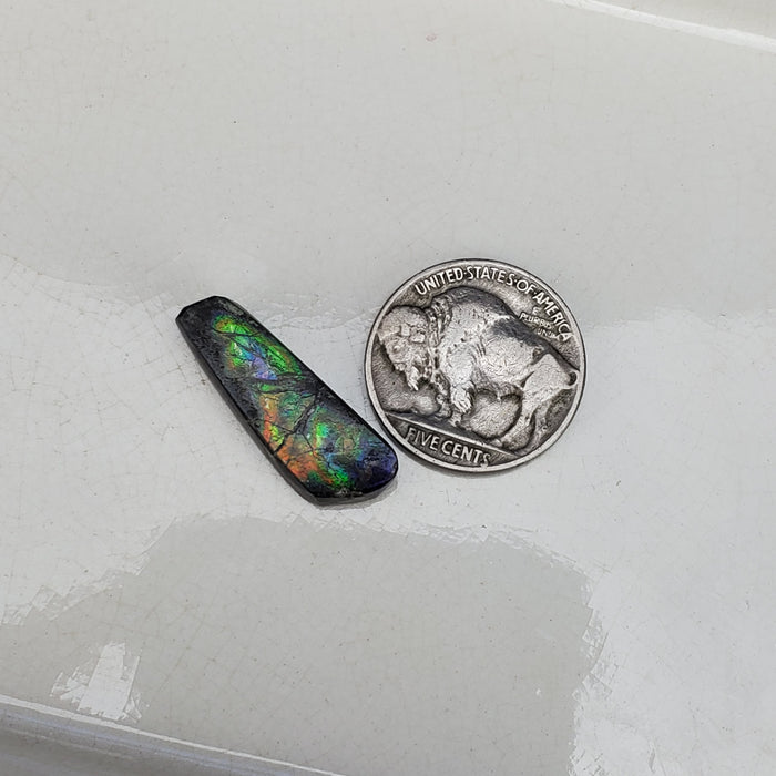 Ammolite Cabochon, 5