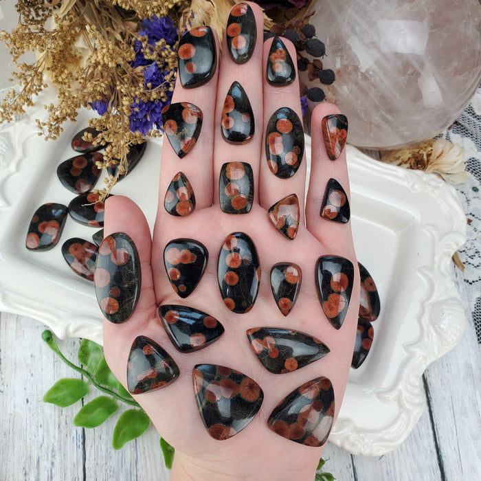 Peanut Obsidian Cabochons