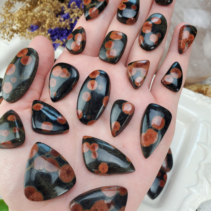 Peanut Obsidian Cabochons