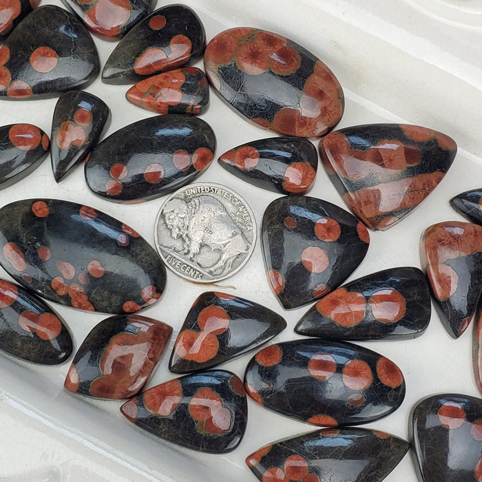 Peanut Obsidian Cabochons