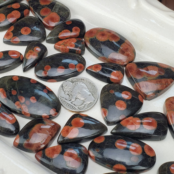 Peanut Obsidian Cabochons