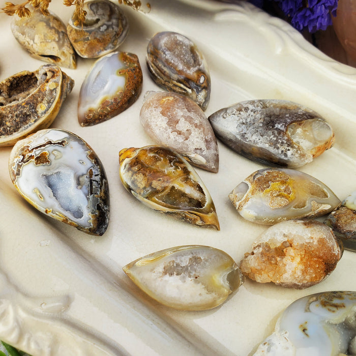 Agatized Shells with Druzy