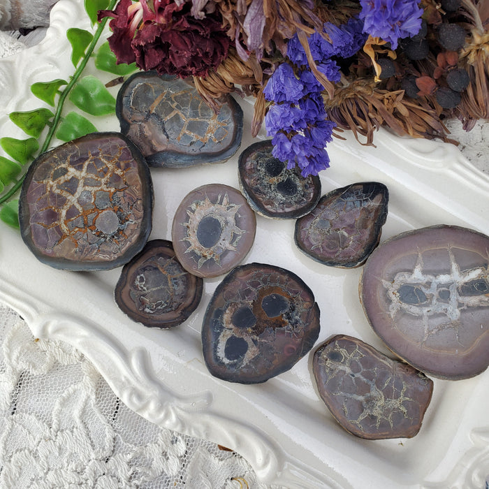 Septarian Nodule Assortment