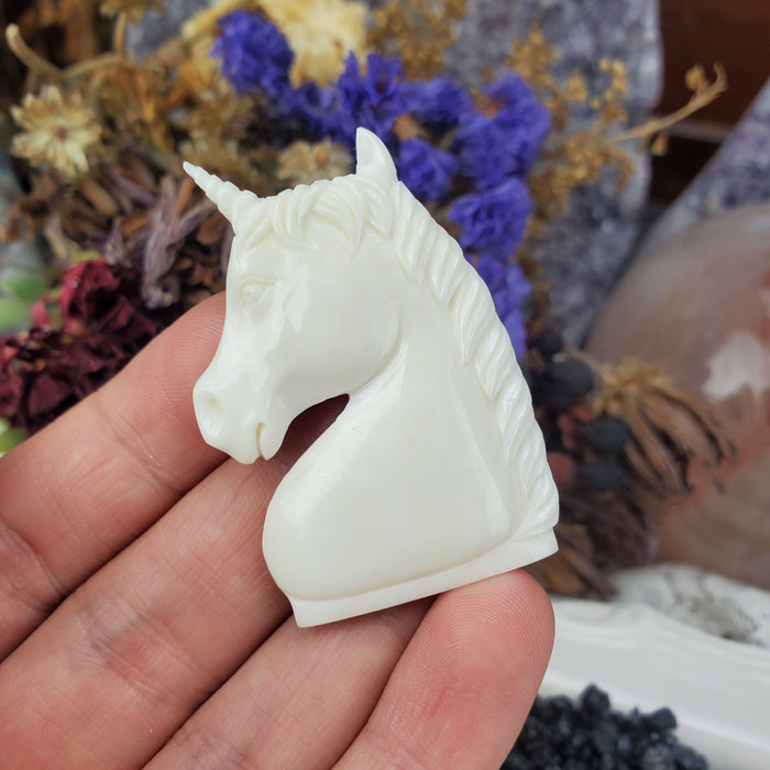 Unicorn Bone Carved Cabochons