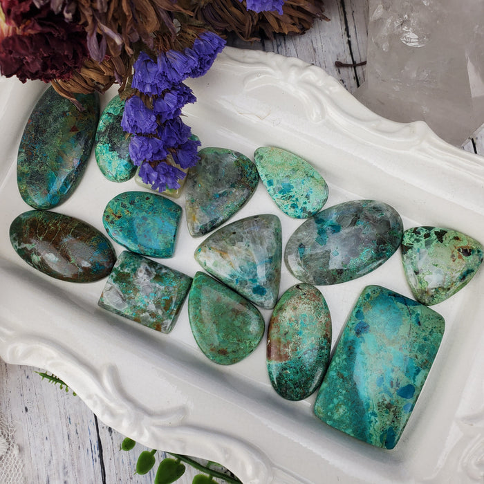 Chrysocolla Cabochons