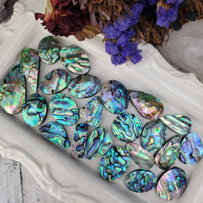 Abalone Shell Cabochons