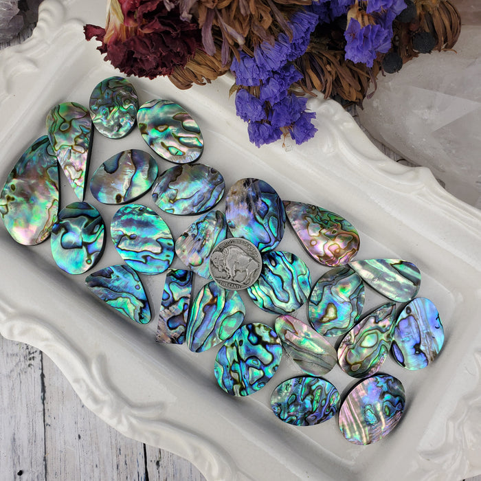 Abalone Shell Cabochons