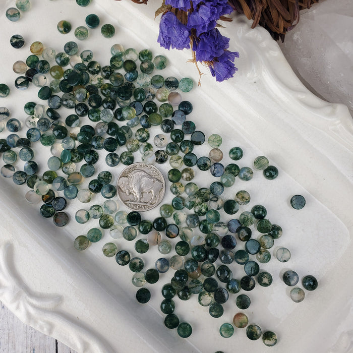 Moss Agate Cabochons, 6mm Rounds