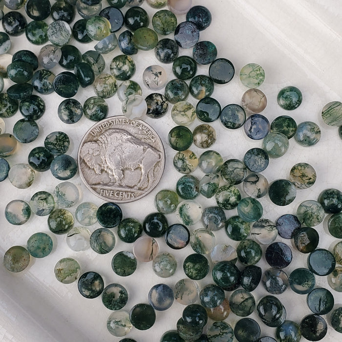 Moss Agate Cabochons, 6mm Rounds