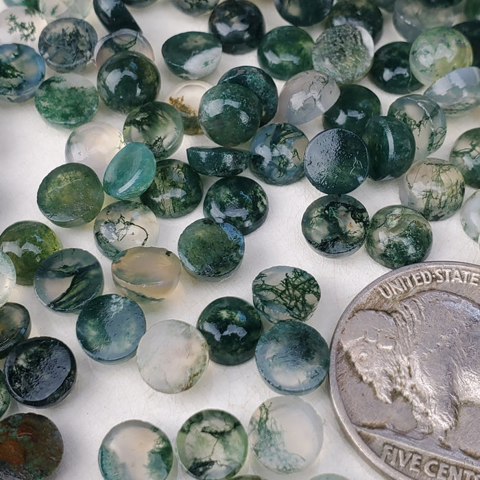 Moss Agate Cabochons, 6mm Rounds