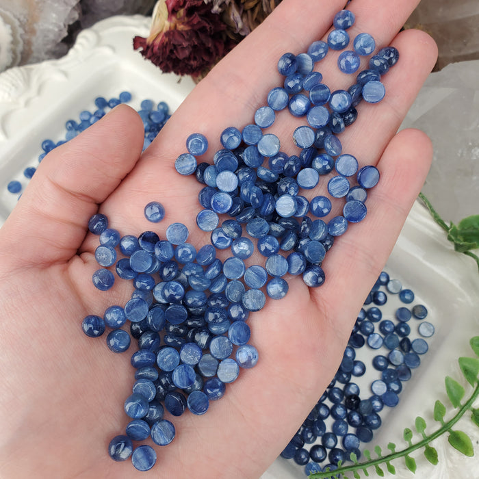 Blue Kyanite Cabochons, 6mm Round