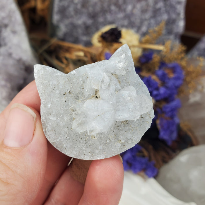 Druzy Cat Head Cabochon