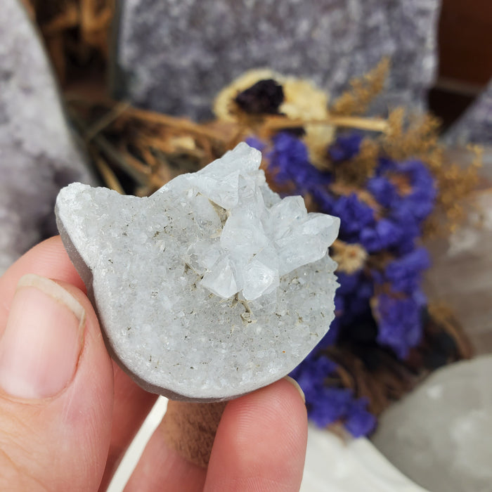 Druzy Cat Head Cabochon