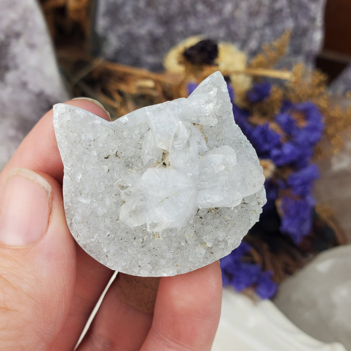 Druzy Cat Head Cabochon