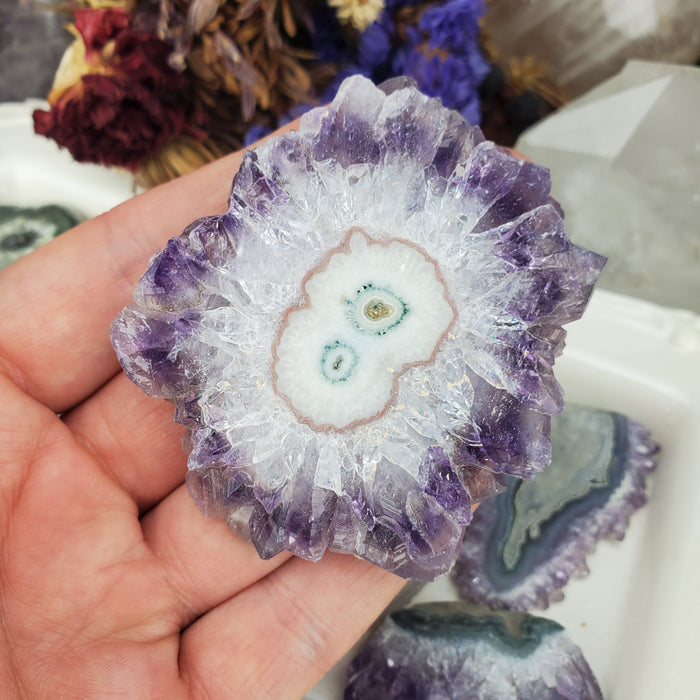 Uruguay Amethyst Stalactite Slice Offcuts, large