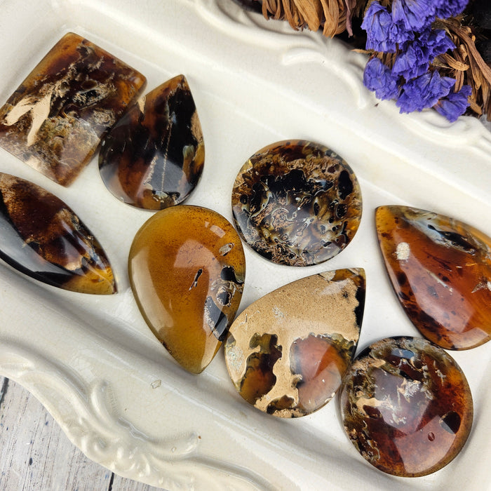 Sumatran Amber Cabochons, Second Quality