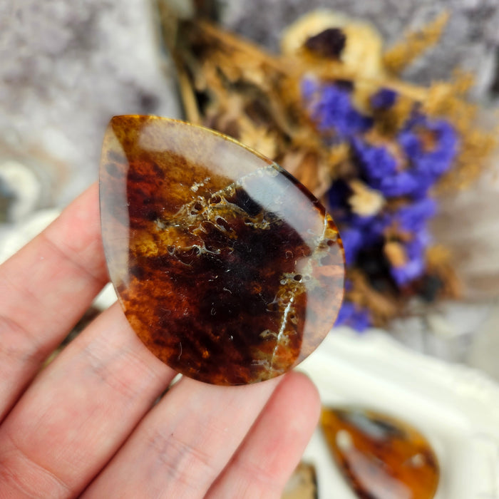 Sumatran Amber Cabochons, Second Quality