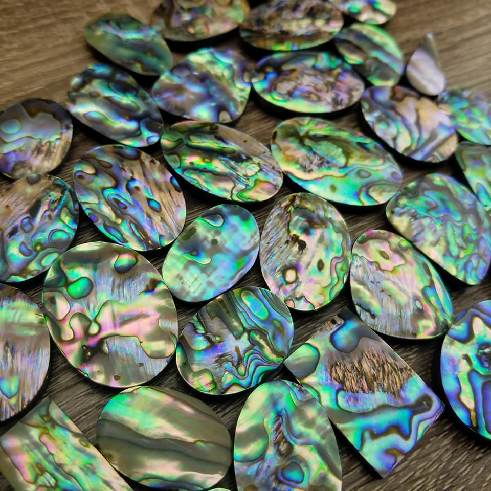 High Quality Abalone Shell Cabochons 
