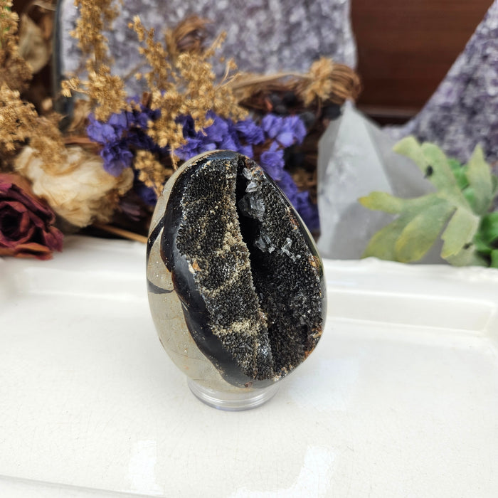 Septarian Dragon's Egg, 2