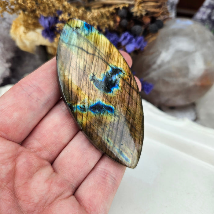 Labradorite Cabochon, 4