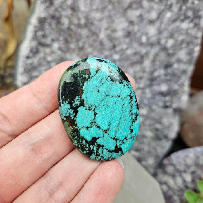 Tibetan Turquoise Cabochons, large