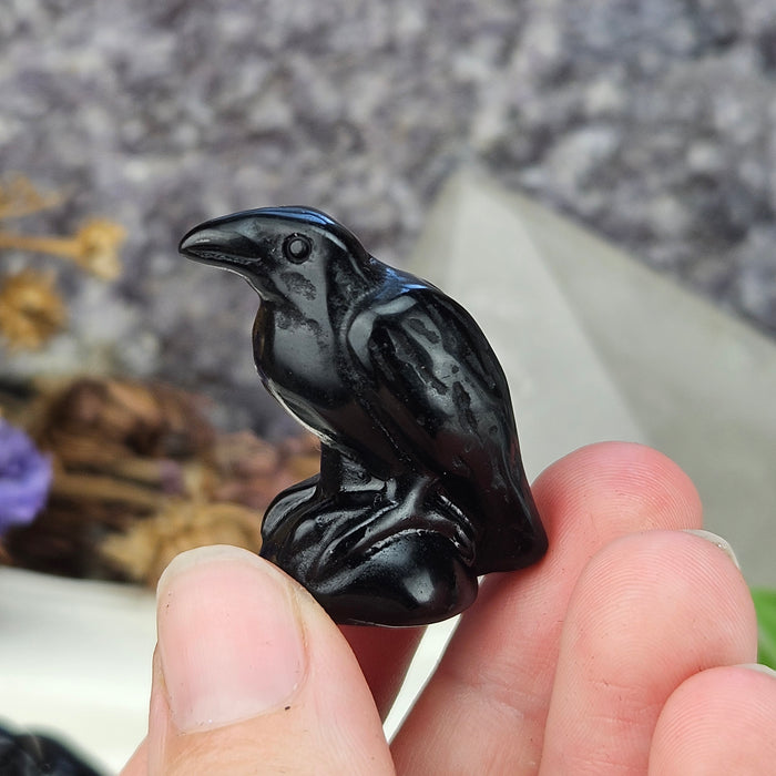 Obsidian Ravens