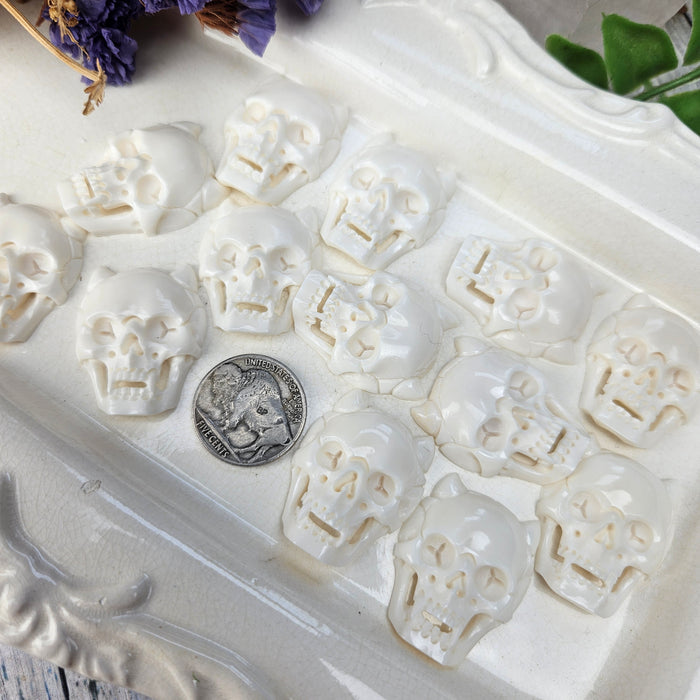 Skull Carving Cabochon, Horns
