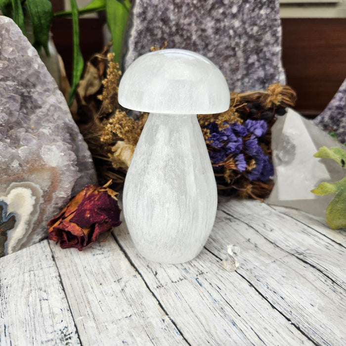 Selenite Mushroom Lamps