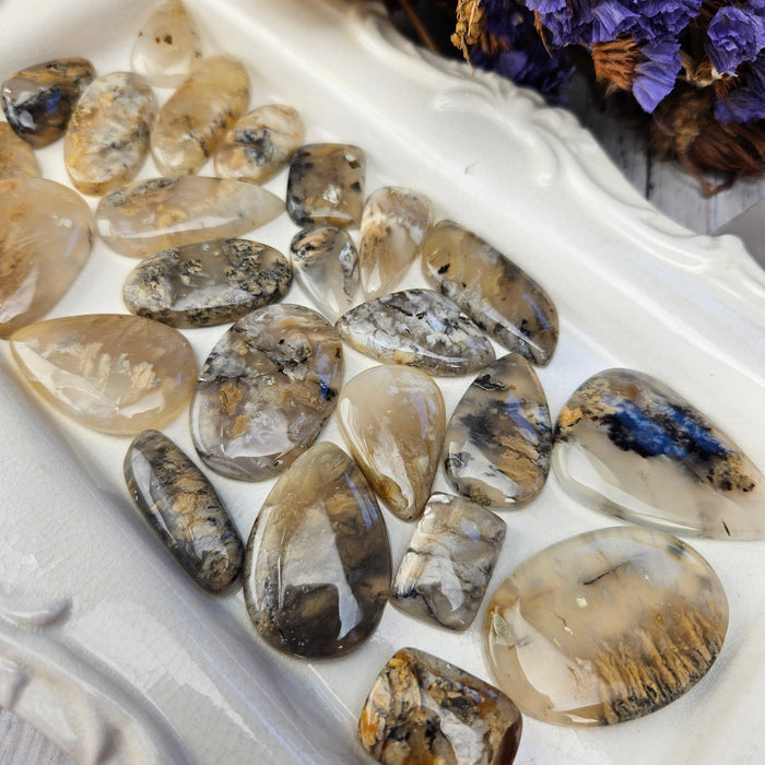 Dendritic Tiger Agate Cabochons