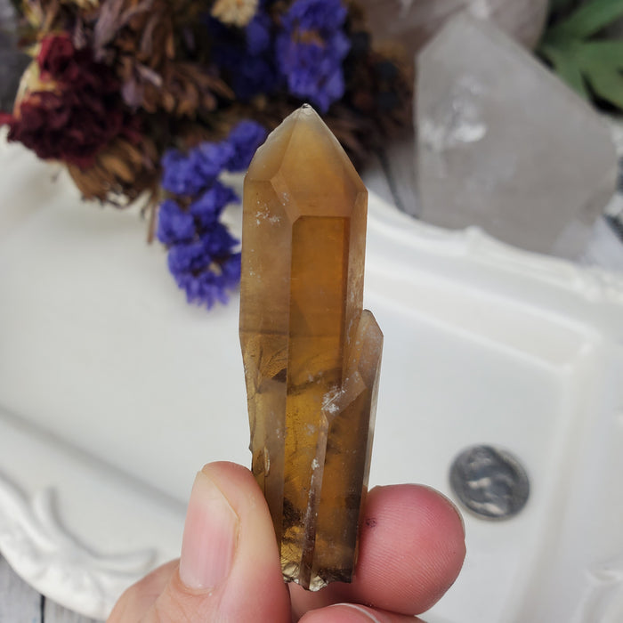 Zambian Citrine Point, 5