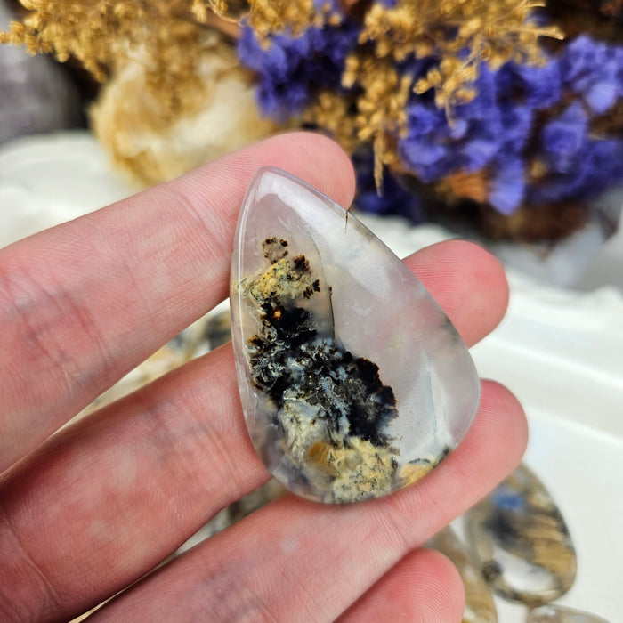 Dendritic Tiger Agate Cabochons