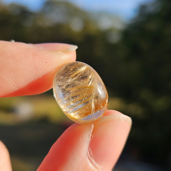 Golden Rutile Cabochon, 2