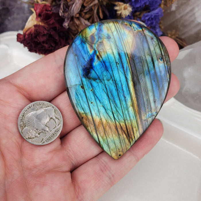 Labradorite Cabochon, 8