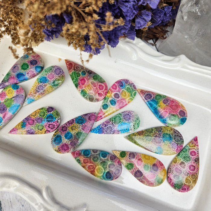 Rainbow Fossil Coral Teardrop Cabochons