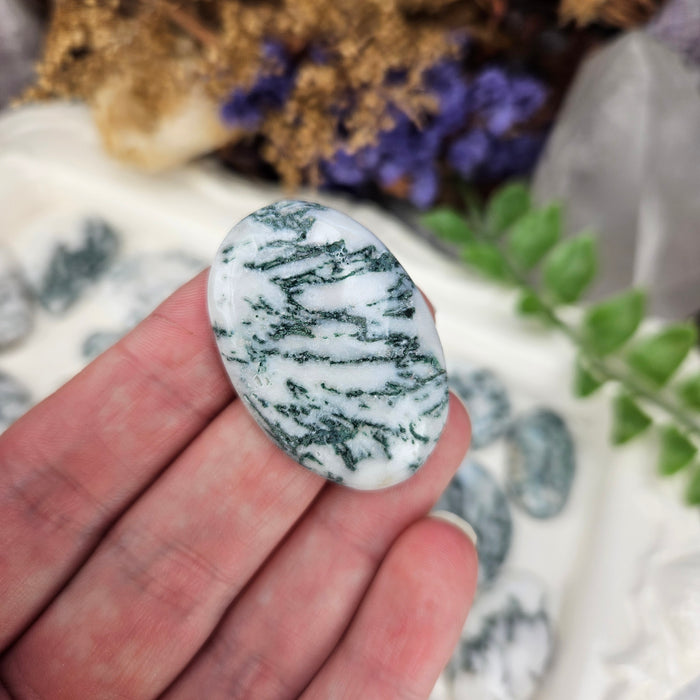 Tree Agate Cabochons