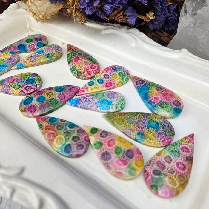 Rainbow Fossil Coral Teardrop Cabochons