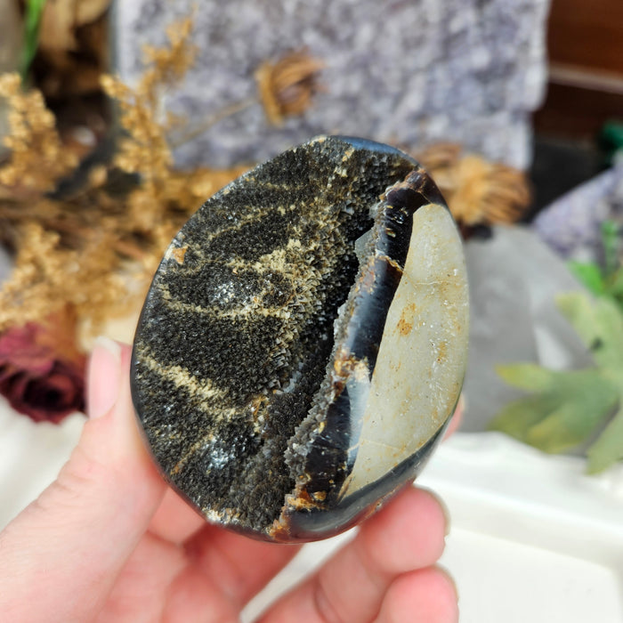 Septarian Dragon's Egg, 2