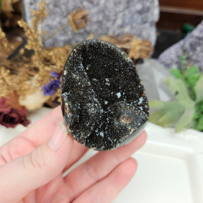 Septarian Dragon's Egg, 1