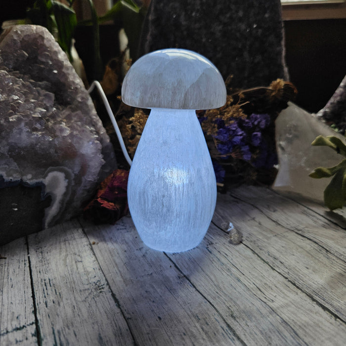 Selenite Mushroom Lamps