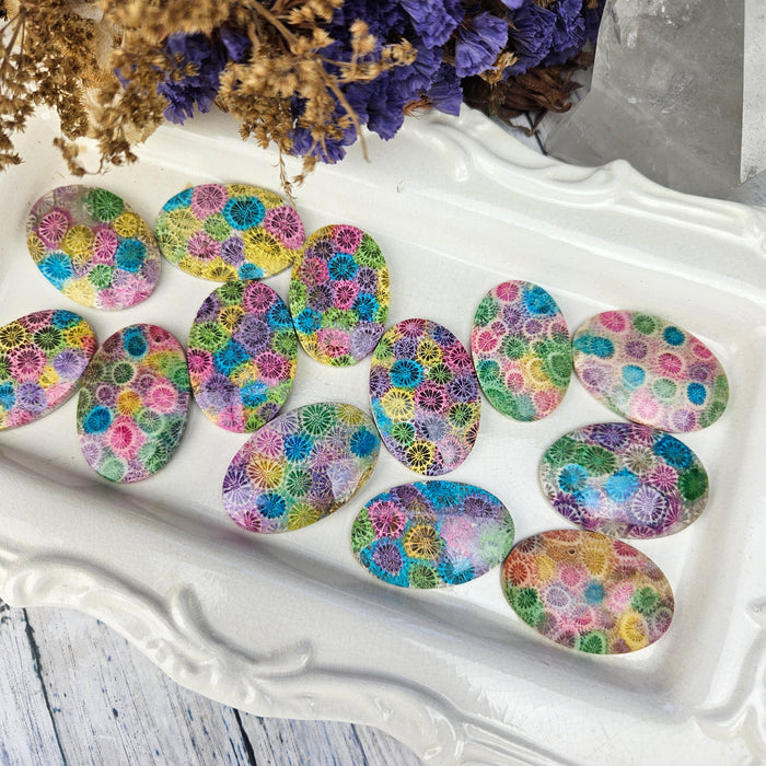 Rainbow Fossil Coral Oval Cabochons