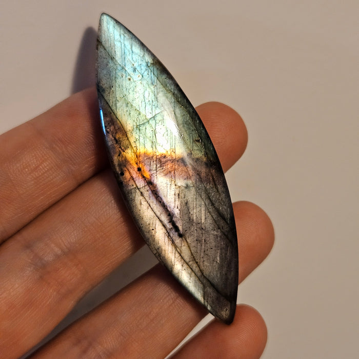 Labradorite Cabochon, 4