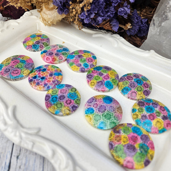 Rainbow Fossil Coral Round Cabochons