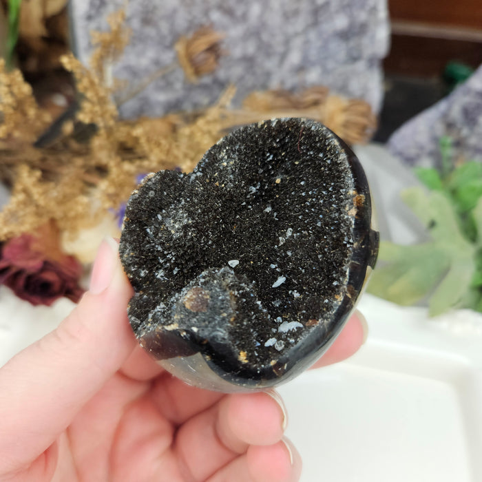 Septarian Dragon's Egg, 1