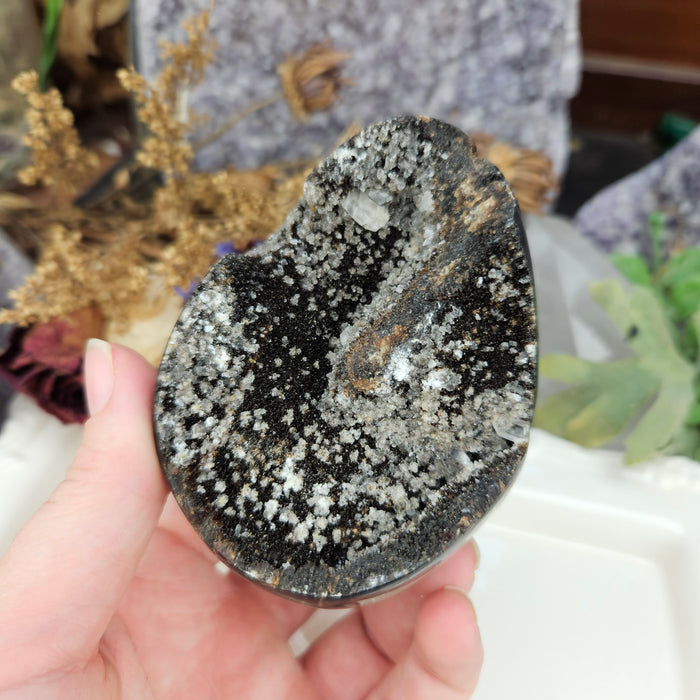 Septarian Dragon's Egg, 3