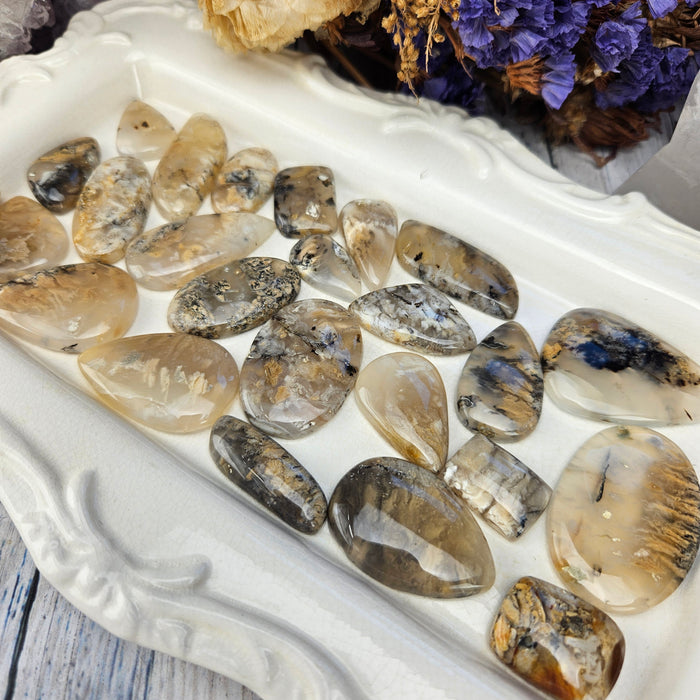 Dendritic Tiger Agate Cabochons