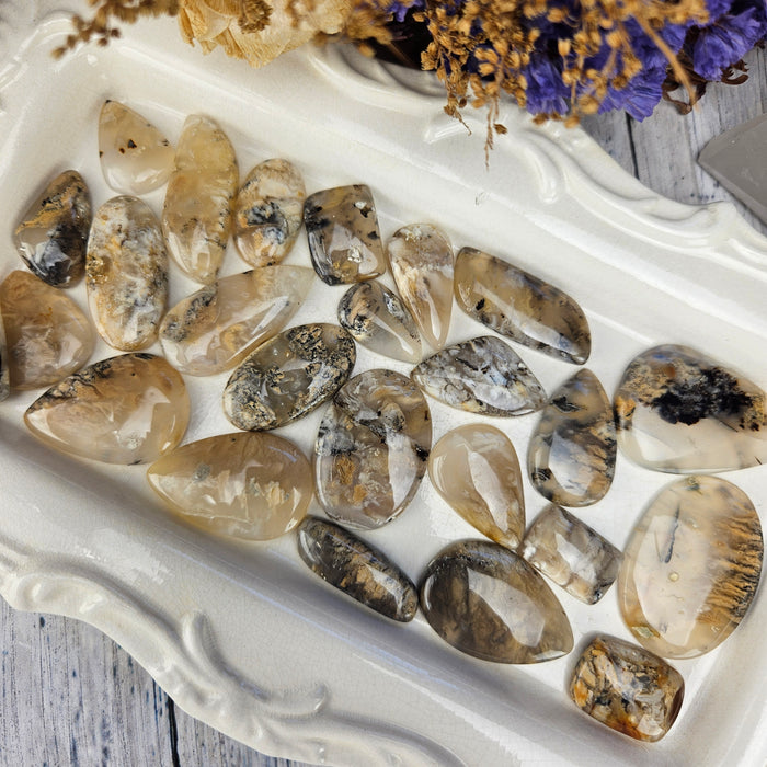 Dendritic Tiger Agate Cabochons