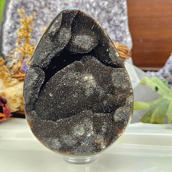 Septarian Dragon's Egg, 5