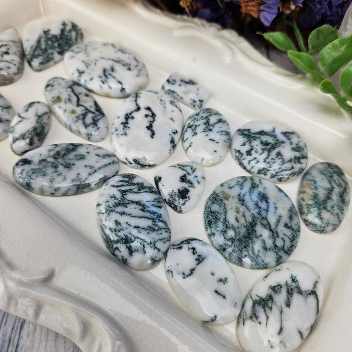 Tree Agate Cabochons