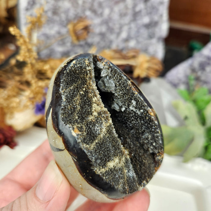 Septarian Dragon's Egg, 2